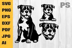 pitbull svg american pit-bull png, witchy pit bull owner t-shirt mug design png svg cut file, digital download