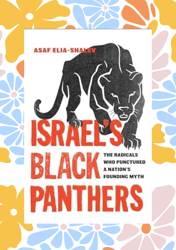 israel's black panthers: the radicals who punctured a nation's founding myth