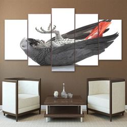 african grey parrot animal 5 pieces canvas wall art, large framed 5 panel canvas wall art