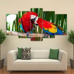 feather colorful birds animal 5 pieces canvas wall art, large framed 5 panel canvas wall art