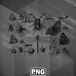 artist png insect etching png for sublimation print good for chirstmas