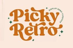 picky retro font