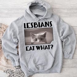 lesbians eat what funny scared kitten hoodie, hoodies for women, hoodies for men