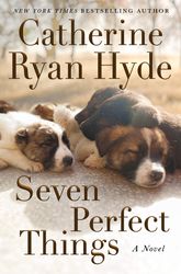 seven perfect things by catherine ryan hyde, seven perfect things catherine ryan hyde, seven perfect things book catheri