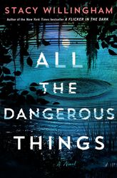 all the dangerous things by stacy willingham, all the dangerous things stacy willingham, all the dangerous things book s