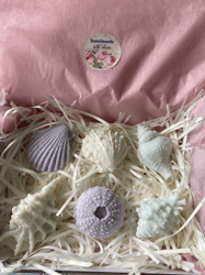 eco shells soaps in a box -handmade