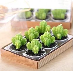 mini cactus candles