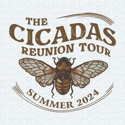 the cicadas reunion tour summer 2024 png