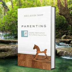 parenting: 14 gospel principles that can radically change your family