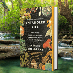 entangled life: how fungi make our worlds, change our minds & shape our futures