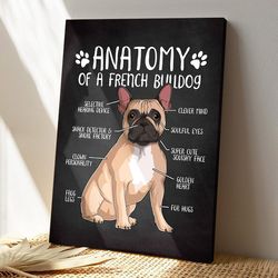 anatomy of a french bulldog, dog canvas poster, dog wall art, gifts for dog lovers