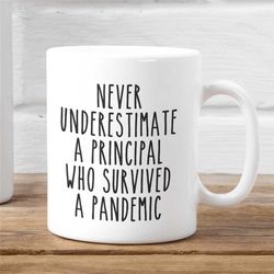 never underestimate a principal who survived a pandemic - funny principal mug - gift for principal - principal mug - pri