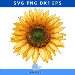 sunflower sublimation png, watercolor sunflower, hand drawing png