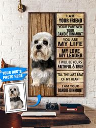 dandie dinmont personalized poster & canvas, dog canvas wall art, dog lovers gifts