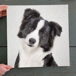 dog square canvas, border collie, colorful canvas print, dog canvas print, canvas with dogs on it