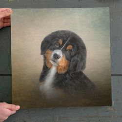 dog square canvas, drawing puppy bernese mountain, dog canvas print, dog wall art canvas