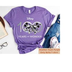 disney 100 years of wonder shirt, disney 100th anniversary shirt, mickey and minnie, magic kingdom tee, disneyland famil