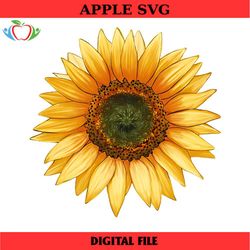 sunflower sublimation png, watercolor sunflower, hand drawing png, cute sunflower png, western sunflower png, sunflower