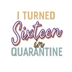 i turned sixteen in quarantine, birthday svg, birthday girl, 6th birhtday, 6 years old