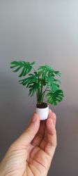 miniature monstera made from clay