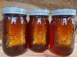 unfiltered raw wildflower honey with honeycomb 1 pint (24oz)