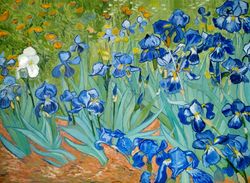 irises van gogh's painting flowers oil painting