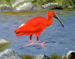 scarlet ibis bird oil painting original art red bird art an exotic bird animal fine art