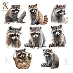 raccoon clipart | watercolor woodland animals clipart | baby animals | cute raccoon png | junk journal | digital planner
