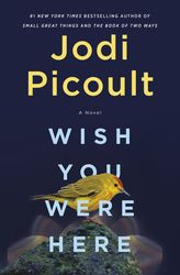 wish you were here by jodi picoult, wish you were here jodi picoult, wish you were here book, wish you were here a novel