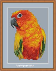 sun conure portrait cross stitch pdf pattern