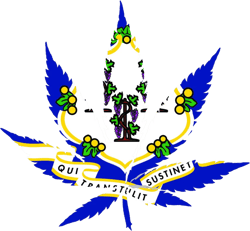 connecticut flag weed marijuana leaf sticker self adhesive vinyl 420 hemp - c3327