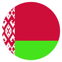 round belarusian flag sticker self adhesive vinyl belarus blr by - c1344