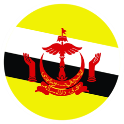 round bruneian flag sticker self adhesive vinyl brunei brn bn - c1717