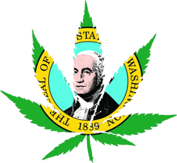 washington flag weed marijuana leaf sticker self adhesive vinyl 420 hemp - c3367