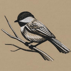 midtone chickadee sketch embroidery design , anime embroidery , machine embroidery design anime slider naruto