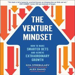 the venture mindset: how to make smarter bets and achieve extraordinary growth