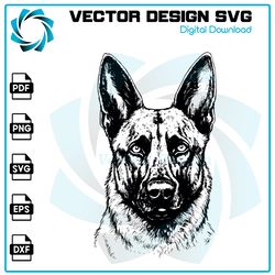 Belgian Malinois Svg, Dog Svg, Belgian Malinois Png, Belgian Malinois Vector, Belgian Malinois, Vector, Svg, Digital.