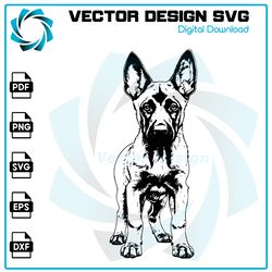 Belgian Malinois Svg, Dog Svg, Belgian Malinois Png, Belgian Malinois Vector, Belgian Malinois, Vector, Svg, Digital