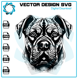 cane corso svg, dog svg, cane corso png, cane corso vector, cane corso, vector, svg, digital files