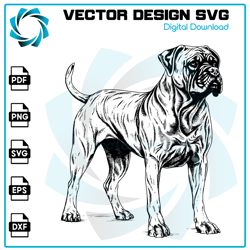 cane corso svg, dog svg, cane corso png, cane corso vector, cane corso, vector, svg, digital files 1