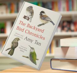 the backyard bird chronicles amy tan