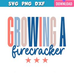 growing a firecracker 4th of july svg bundle graphic