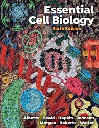 need latest 2023 essential cell biology 5th edition alberts hopkin test bank all chapters.pdf