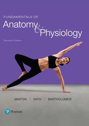 test bank for fundamentals of anatomy & physiology, 11th edition frederic h martini, judi l. nath, edwin f. bartholomew.