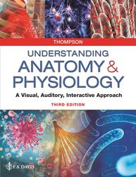 test bank for understanding anatomy & physiology a visual, auditory, interactive approach 3rd edition gale sloan thompso