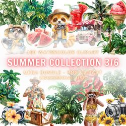 summer png, summer pack 3-6, clipart, transparent clipart, watercolor summer clipart, summer floral clipart