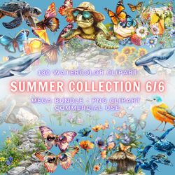 summer pack 6-6 clipart, summer png, transparent clipart, watercolor summer clipart, summer floral clipart