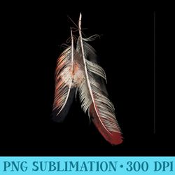indigenous american native tribal headdress feathers - png download