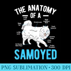 anatomy samoyed dog - transparent png collection