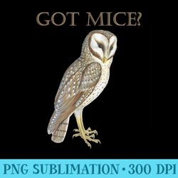 got mice eastern barn owl looking for dinner feathered bird - png clipart download